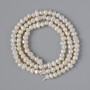 Perles d'eau douce sur fil, diamètre 4×3,5 mm, longueur ± 35 cm