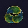 Broche Accent jaune et bleu émaillé, métal doré 44 mm+