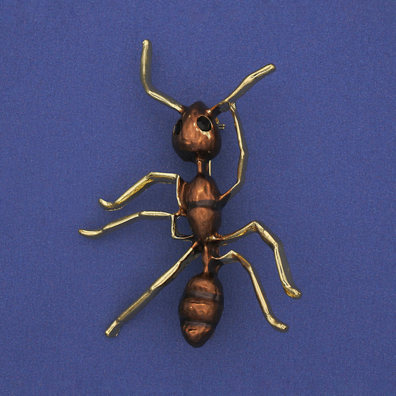 Broche fourmi brun émaillé, métal doré 42×57 mm+