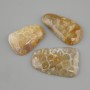 Cabochon corail fossile ovale 40-45×19-24 mm ± (tailles assorties)