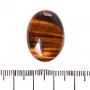 Fourniture cabochon œil de tigre 25×18 mm