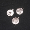 Pendentif Zodiaque Vierge, diamètre 17 mm, conditionnement 20 g ± 12 pièces