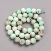 Perles sur fil en pierre naturelle chrysoprase, billes lisses, diamètre 10 mm ±, longueur 39 cm ±